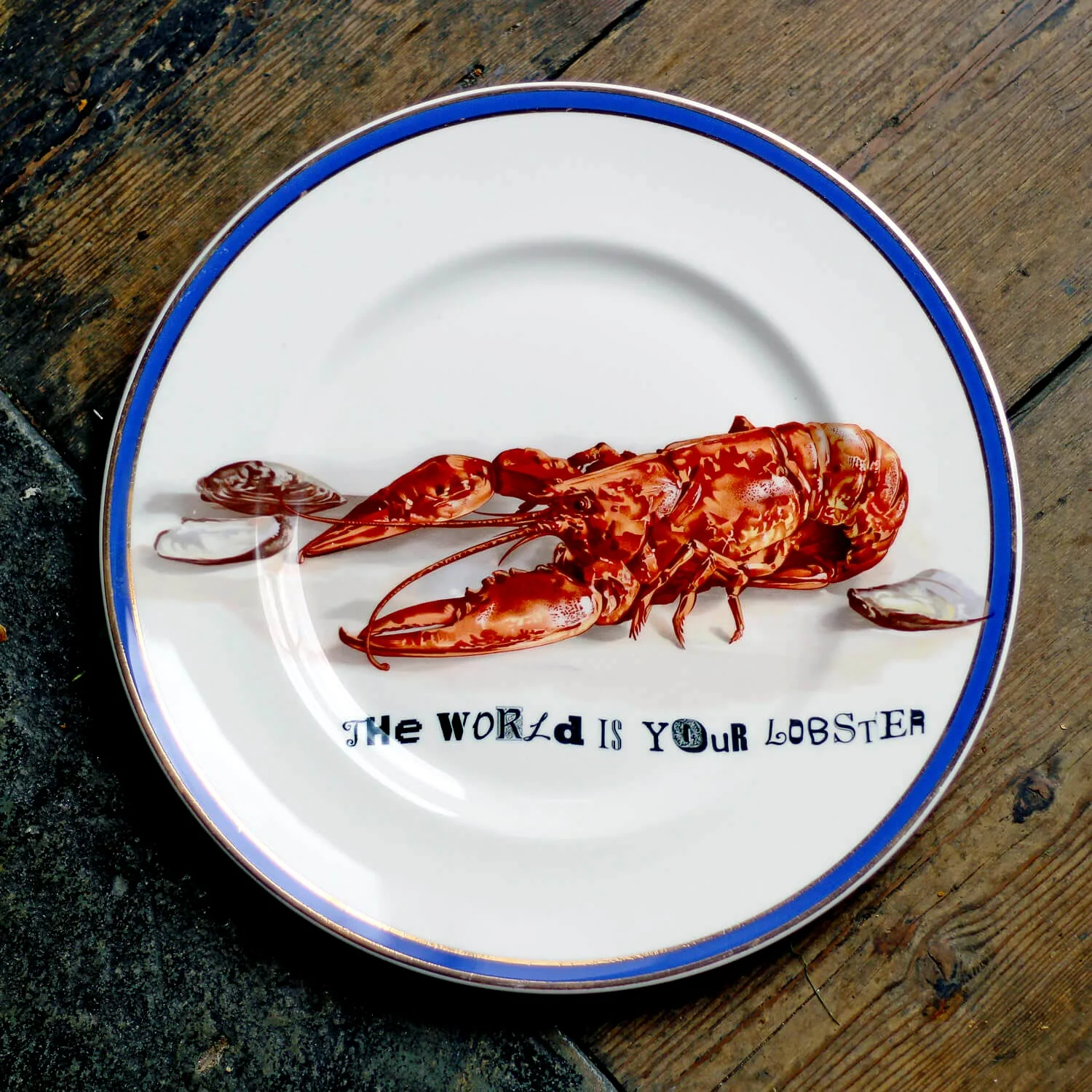A vintage bone china plate with a lobster print. Text reads: The World Is Your Lobster.